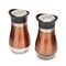 Stainless Steel Copper Salt and Pepper Shakers Set with Glass Bottom, Screw-Off Caps, Perforated "S" and "P" Designs for Kitchen, 2.5 x2.5 x 4.5 Inches (4oz)